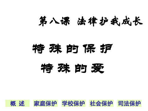 初一政治下学期第八课特殊的保护特殊的爱(2019年10月整理)