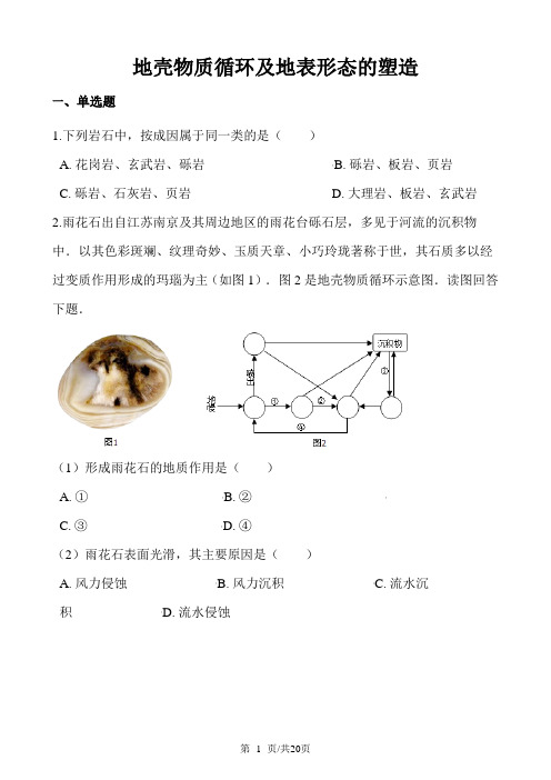 高考地理专题：地壳物质循环及地表形态的塑造(解析版)