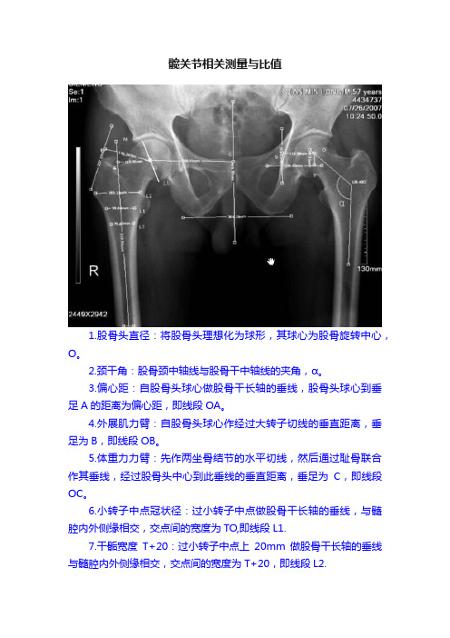 髋关节相关测量与比值