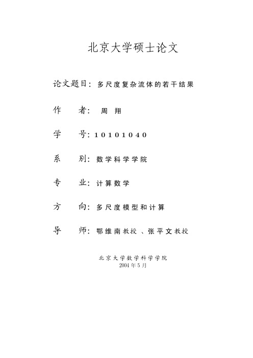 北京大学硕士论文