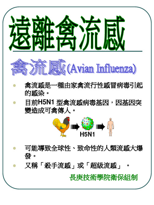 禽流感是一种由家禽流行性感冒病毒引起的感染.ppt