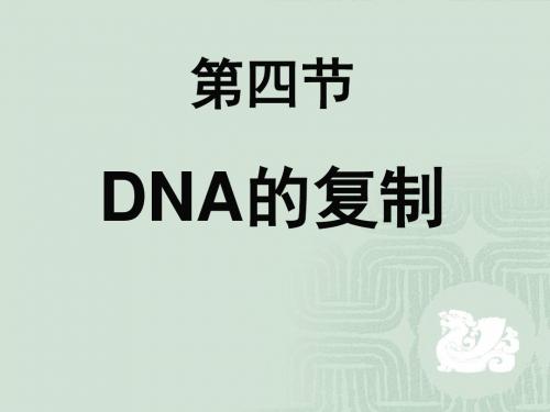 高中生物必修2第三章第三节DNA的复制