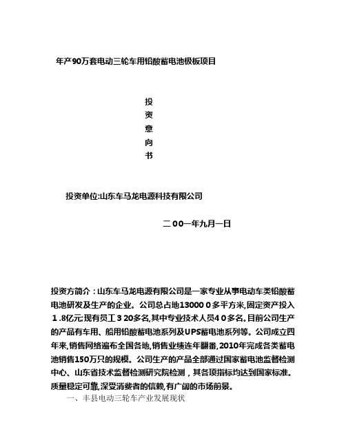 自-年产90万套电动三轮车用铅酸蓄电池极板项目 