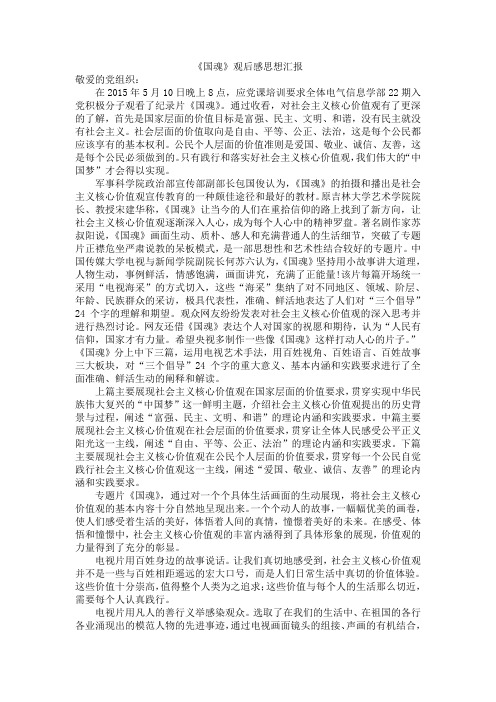 《国魂》观后感思想汇报