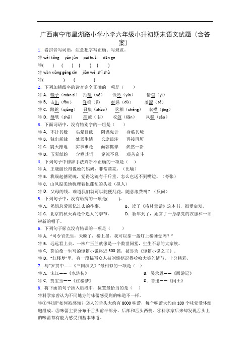 广西南宁市星湖路小学小学六年级小升初期末语文试题(含答案)