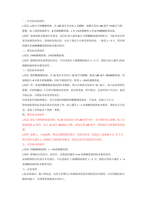 标本制作