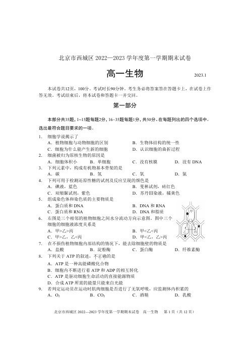 2023北京西城区高一上学期期末生物试题及答案