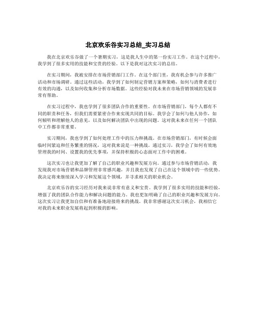 北京欢乐谷实习总结_实习总结