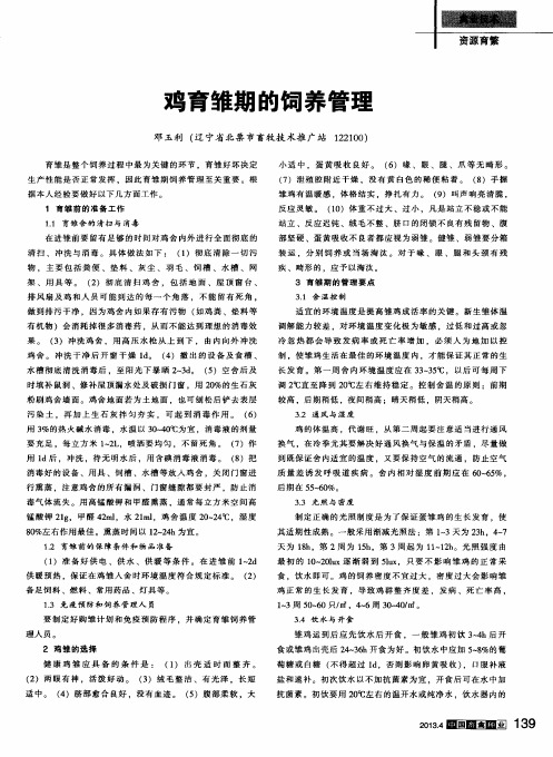 鸡育雏期的饲养管理