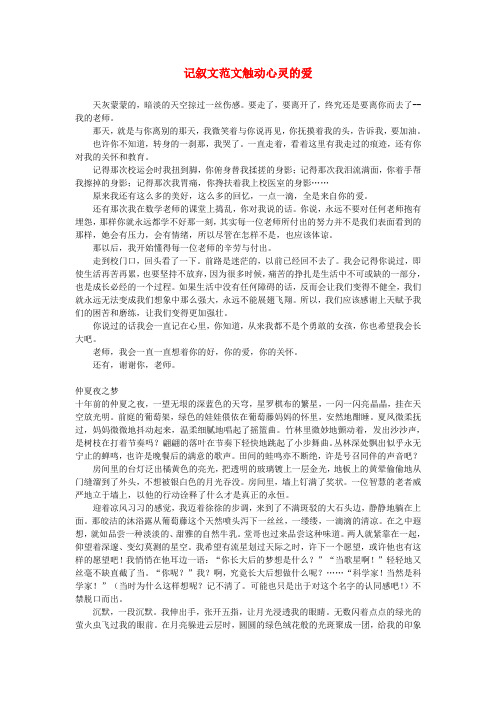 高中语文 触动心灵的爱作文教案 人教版