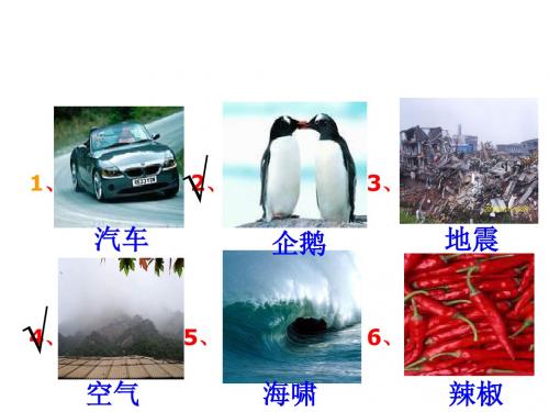 2019年湖南省株洲市湘教版地理八年级上册3.1中国的自然资源概况教学课件(共17张PPT)