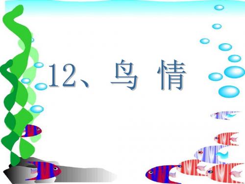 鸟情PPT课件