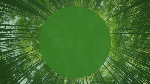 竹林清爽简约环保工作汇报PPT模板