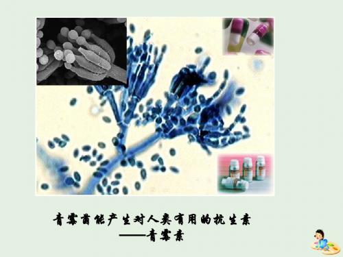 江西省吉安县第三中学高中生物6.2基因工程及其应用(第1课时)课件新人教版必修2