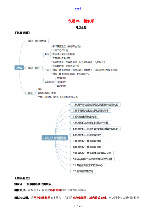 中考数学一轮复习 基础考点及题型 专题24 相似形(含解析)-人教版初中九年级全册数学试题