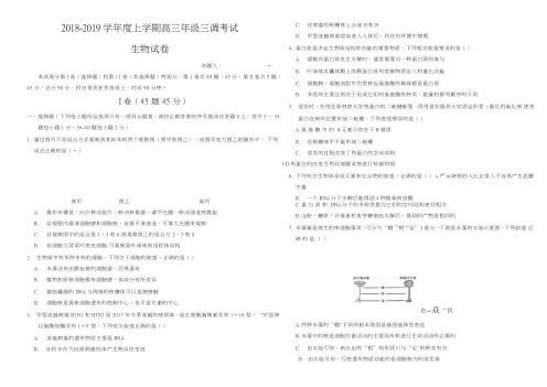 河北省衡水中学2019届高三上学期三调考试生物试题