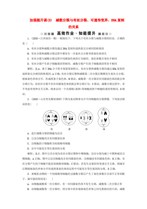 高考生物加强提升课(3)减数分裂与有丝分裂、可遗传变异、DNA复制的关系高效作业知能提升新人教版