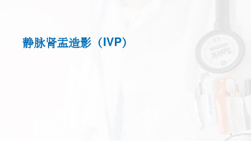 静脉肾盂造影(IVP)ppt课件