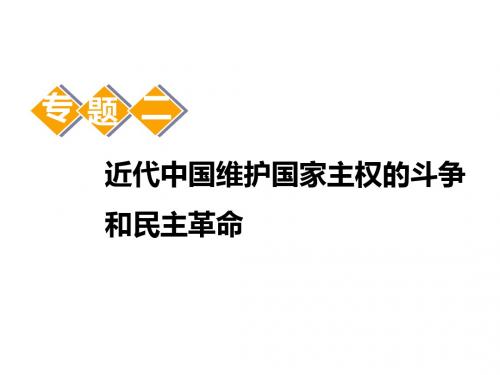 2020年高考历史(人民版)一轮复习  近代中国维护国家主权的斗争