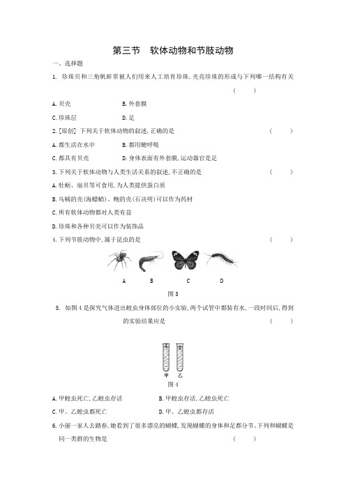 5.1.3软体动物和节肢动物同步练习 2021——2022人教版八年级生物上册