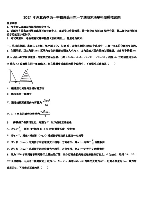 2024年湖北省孝感一中物理高三第一学期期末质量检测模拟试题含解析