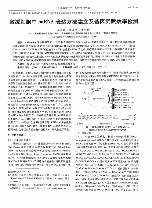 禽源细胞中miRNA表达方法建立及基因沉默效率检测