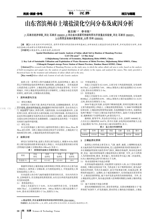 山东省滨州市土壤盐渍化空间分布及成因分析