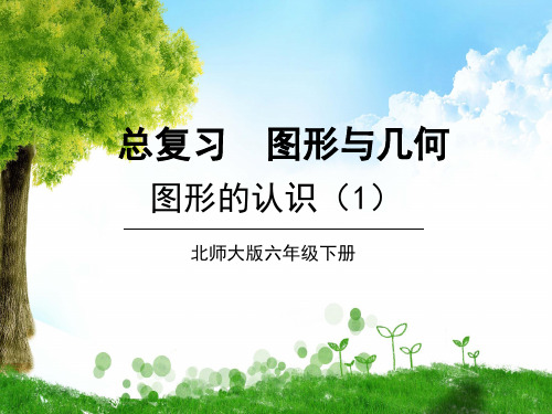 北师大版数学六年级下册1.图形的认识(1)课件