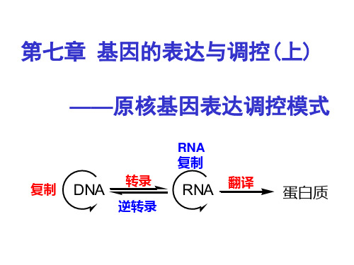 第七章第六节