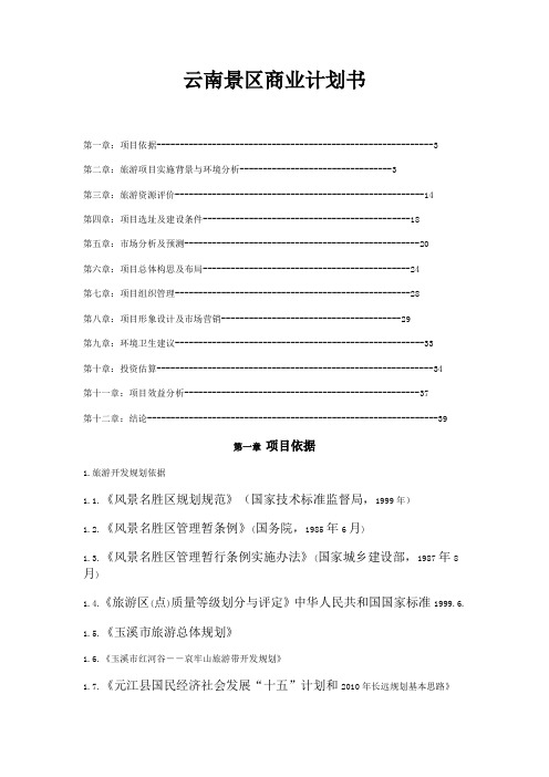 云南商业计划书-34DOC