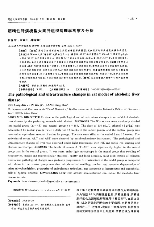 酒精性肝病模型大鼠肝组织病理学观察及分析