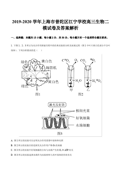 2019-2020学年上海市普陀区江宁学校高三生物二模试卷及答案解析