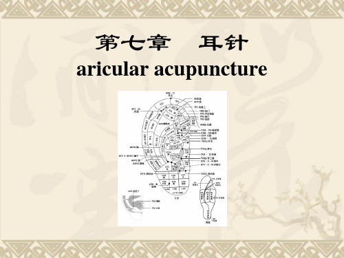 耳针是指用毫针或其他方法刺激耳穴-浙江中医药大学精品课程