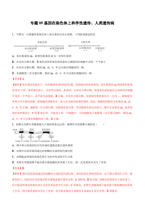 2020年高考生物精选考点专项突破9：基因在染色体上和伴性遗传、人类遗传病(含答案解析)