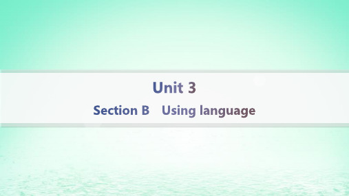  高中英语Unit3 SectionBUsinglanguage课件外研版选择性必修第二册