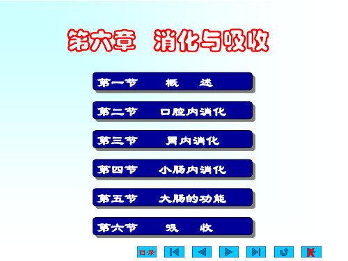 6消化 PPT课件