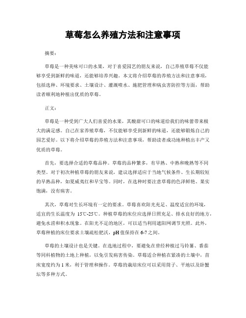 草莓怎么养殖方法和注意事项