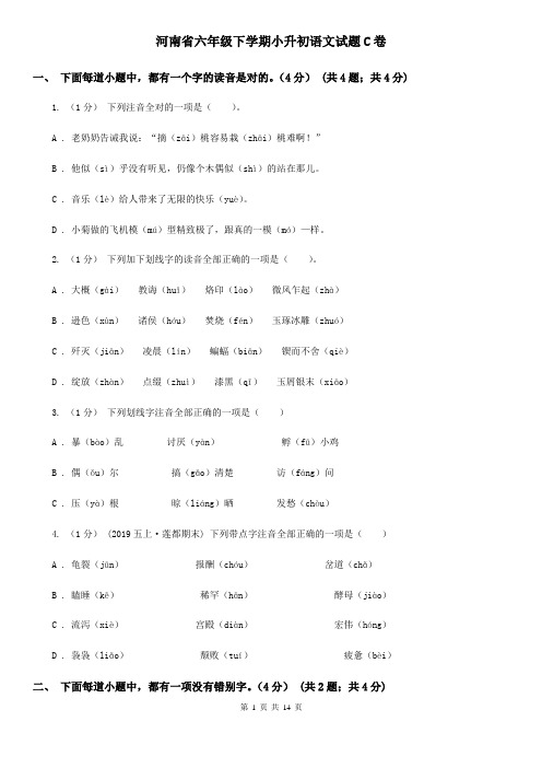 河南省六年级下学期小升初语文试题C卷