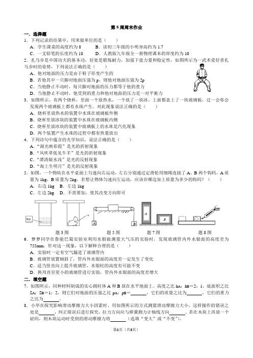 湛江二中港城中学初三物理第八周周末作业含答案