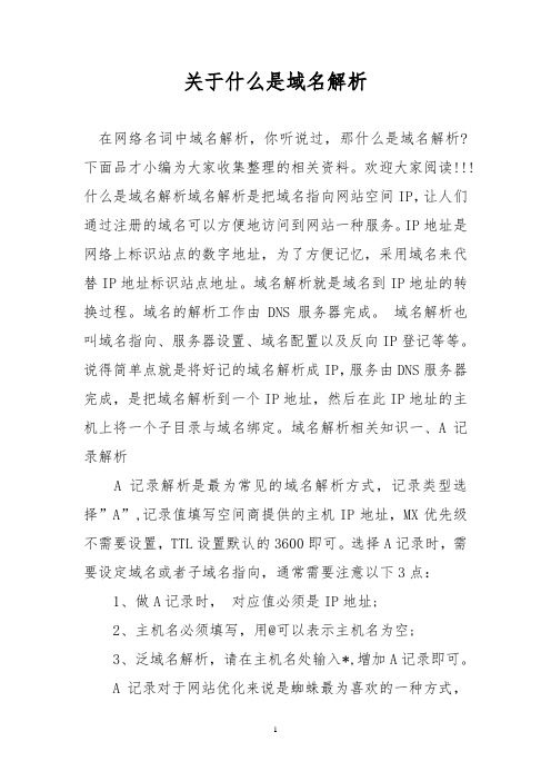 关于什么是域名解析