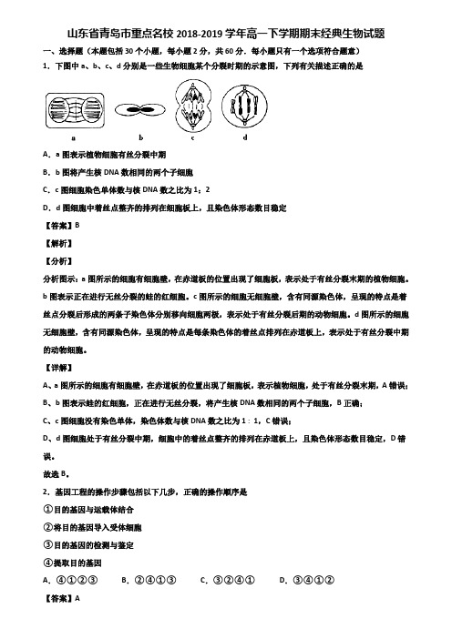 山东省青岛市重点名校2018-2019学年高一下学期期末经典生物试题含解析