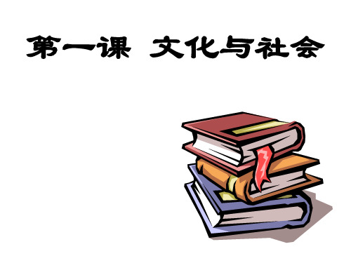 文化与社会优秀课件