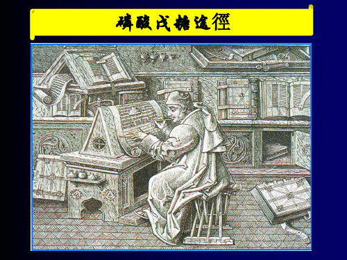 生物化学课件:磷酸戊糖途径