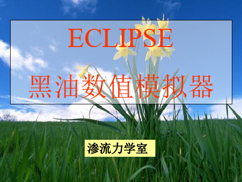 Eclipse100黑油模拟器基础