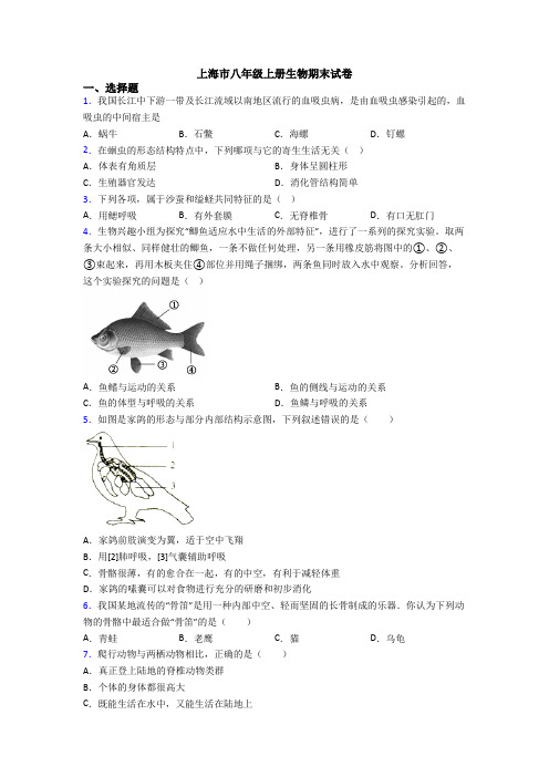 上海市八年级上册生物期末试卷