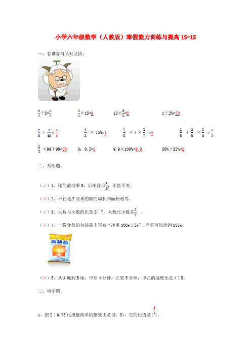 六年级数学寒假能力训练与提高15-15 人教版