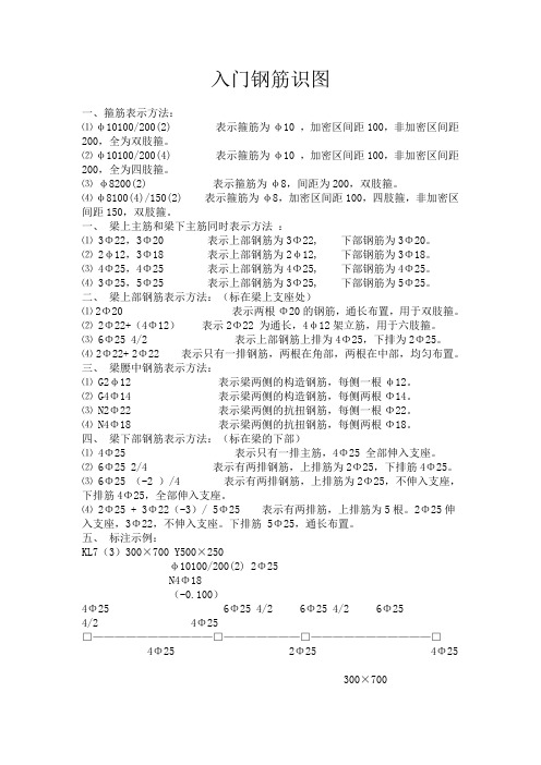 钢筋入门识图讲解