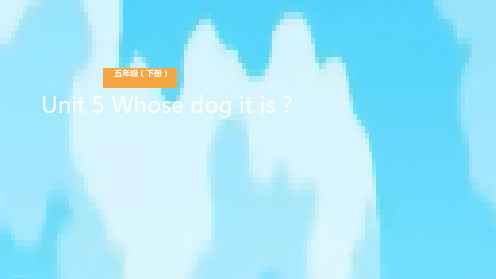 五年级下册英语课件-Unit 5 Whose dog it is？Lesson 3 这只狗是谁的？ 人教(PEP)PPT课件