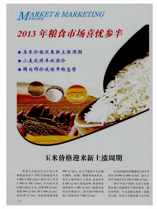 2013年粮食市场喜忧参半：玉米价格迎来新上涨周期