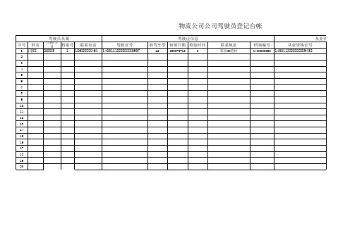 物流公司驾驶人台账